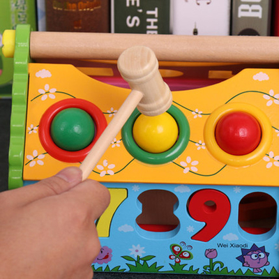 Çocuklar Şekil Sıralayıcı Bilgelik Ev Ahşap Montessori Parlak